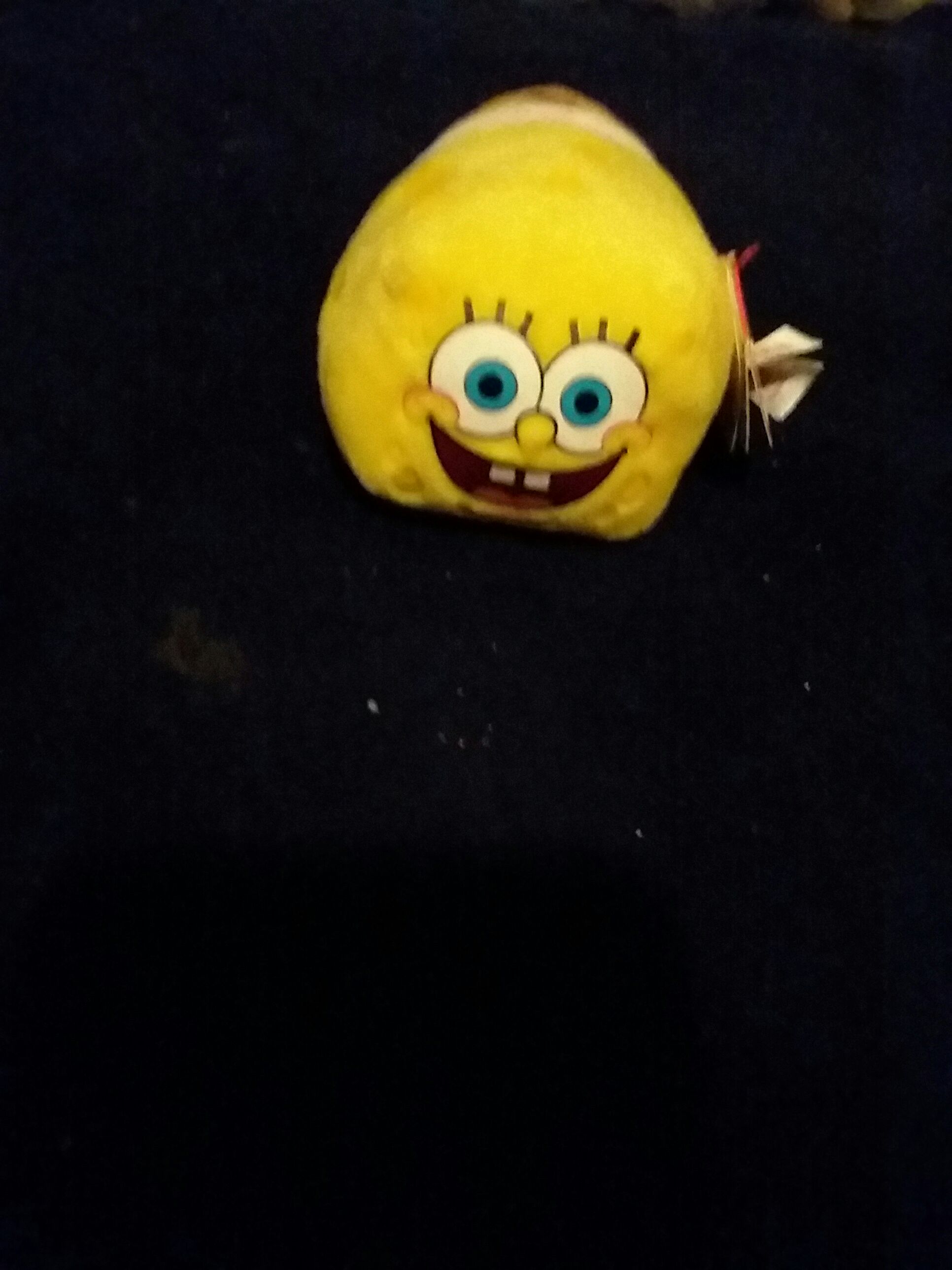 CLASS OF 2004 The Owl