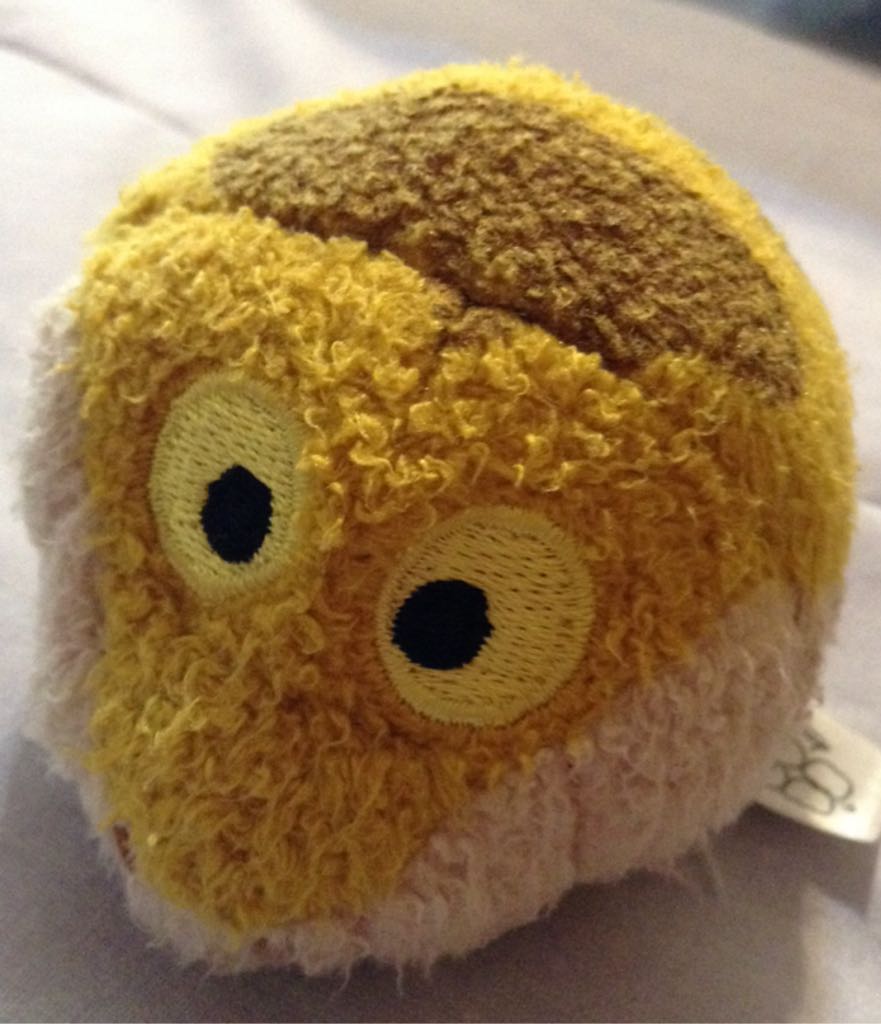 Rainbow The Poodle Clip:e