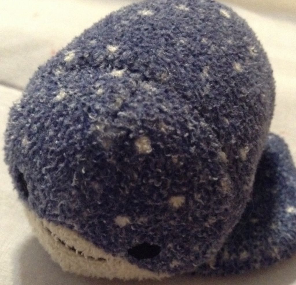 America The White Bear