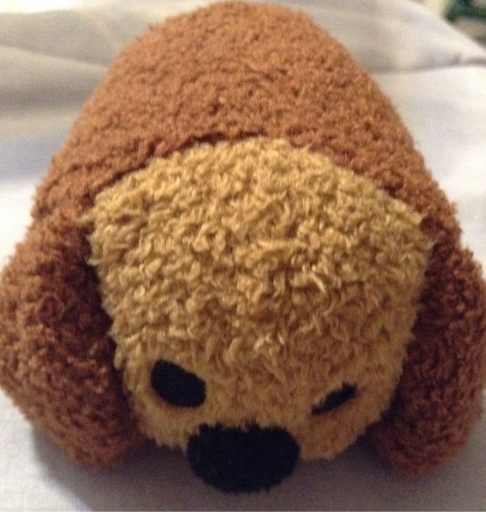 Merlin the Dragon (kc)