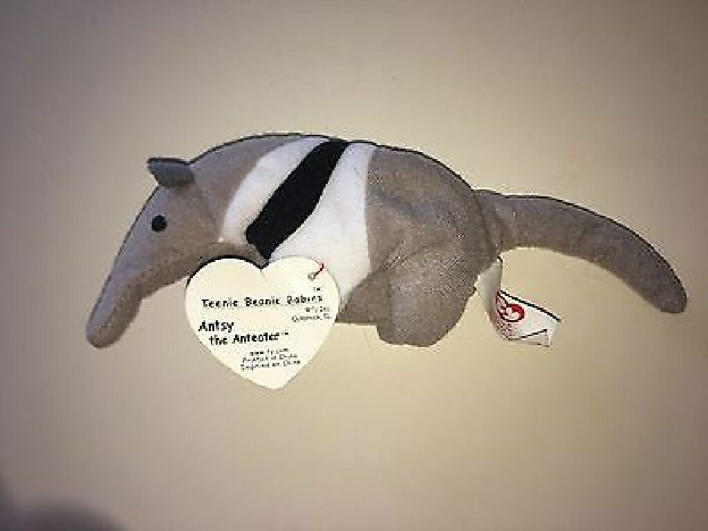 Rainbow Dash the pegasus