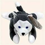 Snowy (Tintin) The Buddy 