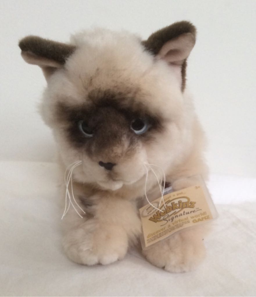 Cat Ganz Signature Webkins Ragdoll Cat  plush collectible - Main Image 2