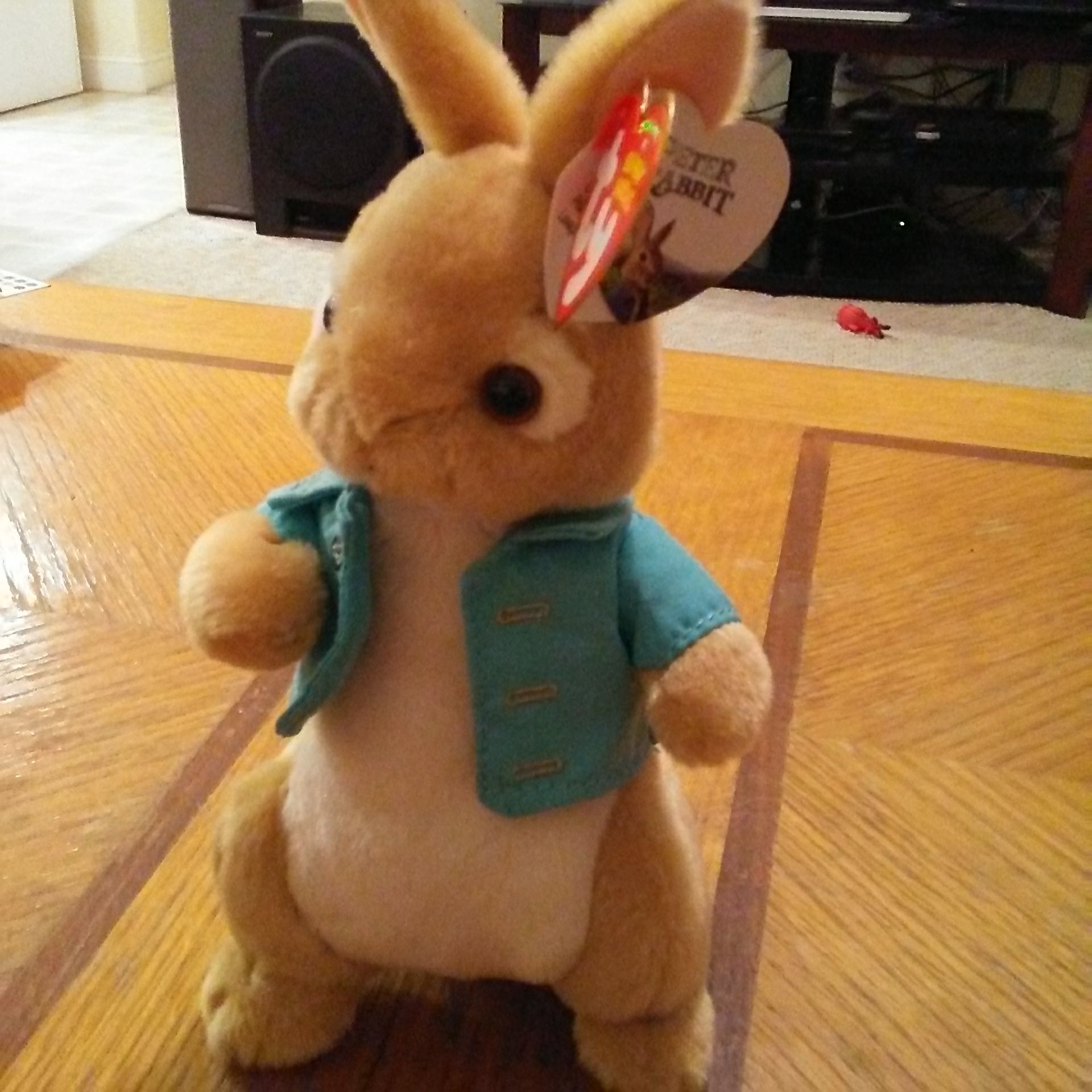 New England Patriots