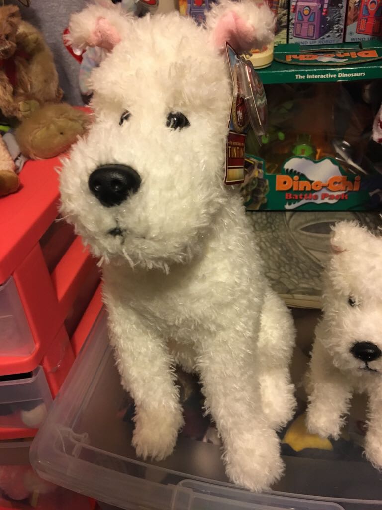 Ricky The Raccoon 2.0