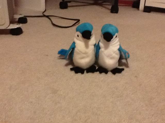 Rocket  plush collectible [Barcode 002421048029] - Main Image 2