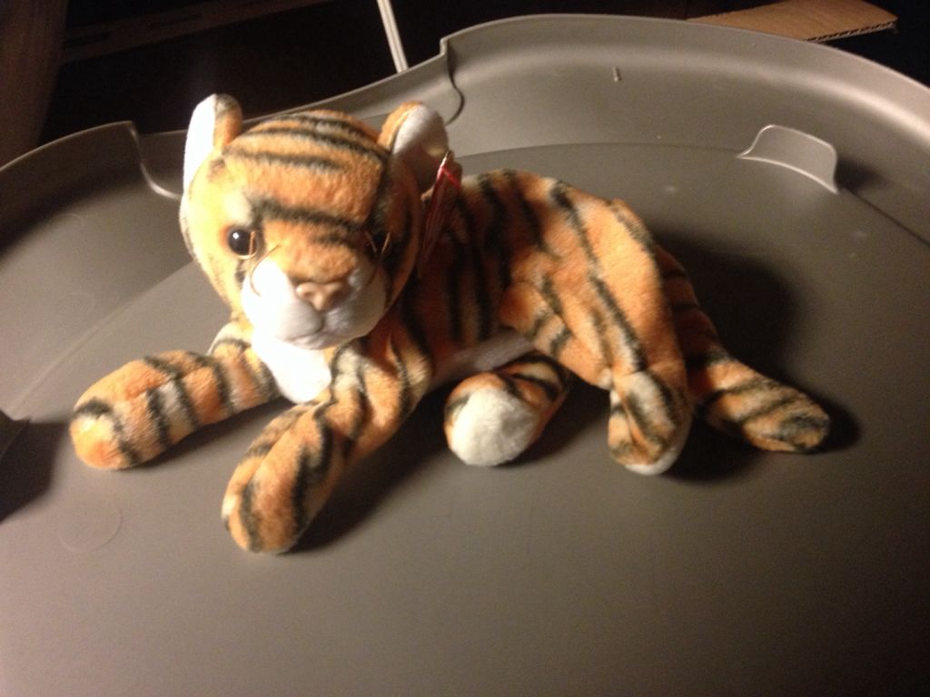 Divalectable The Chihuahua Dog