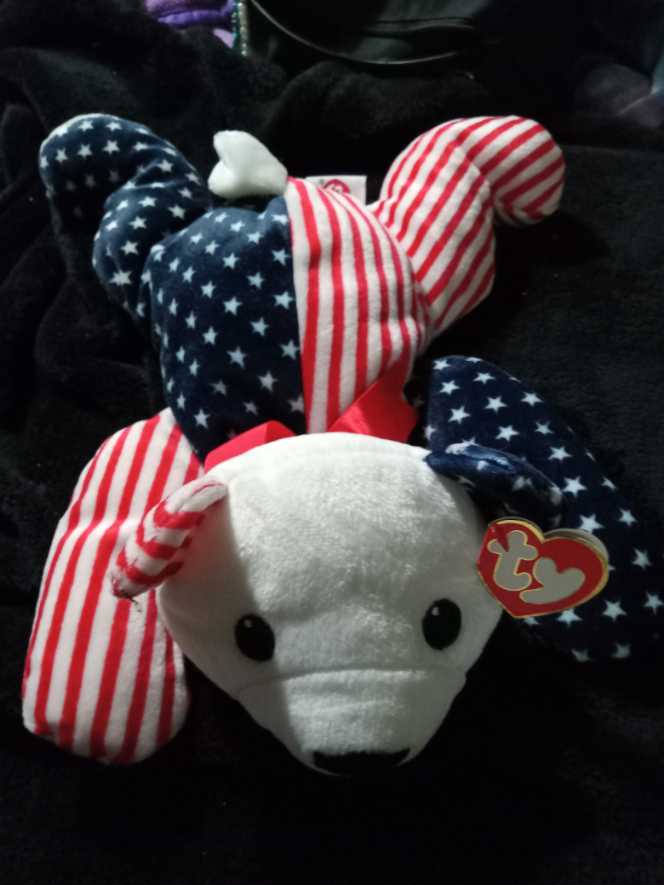 Sparkler The Bear  🐻 🇺🇸  plush collectible [Barcode 008421031153] - Main Image 2