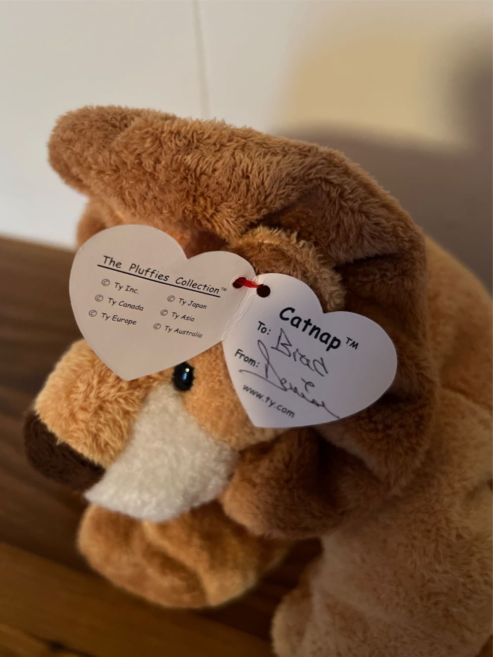 Catnap  plush collectible [Barcode 008421032334] - Main Image 3