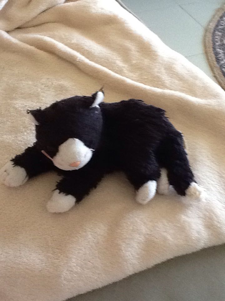 Booties The Cat  plush collectible [Barcode 008421045365] - Main Image 2