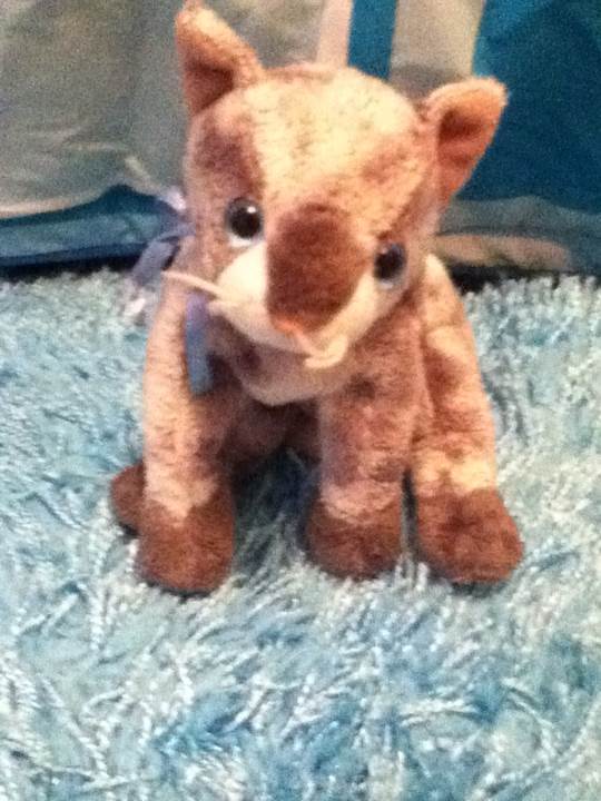 Frisco The Cat  (United States) plush collectible [Barcode 008421045860] - Main Image 2