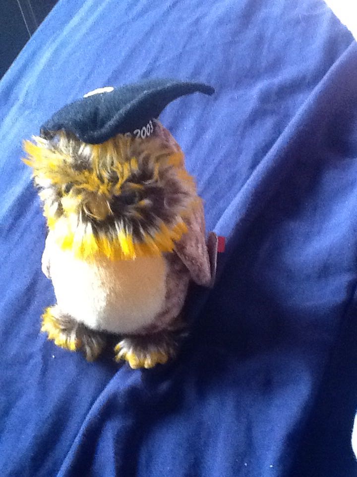 Smartest-The Owl - Graduation  (United States) plush collectible [Barcode 008421045914] - Main Image 2