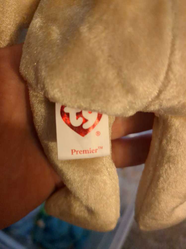 Premier The Bear  plush collectible [Barcode 008421046355] - Main Image 2