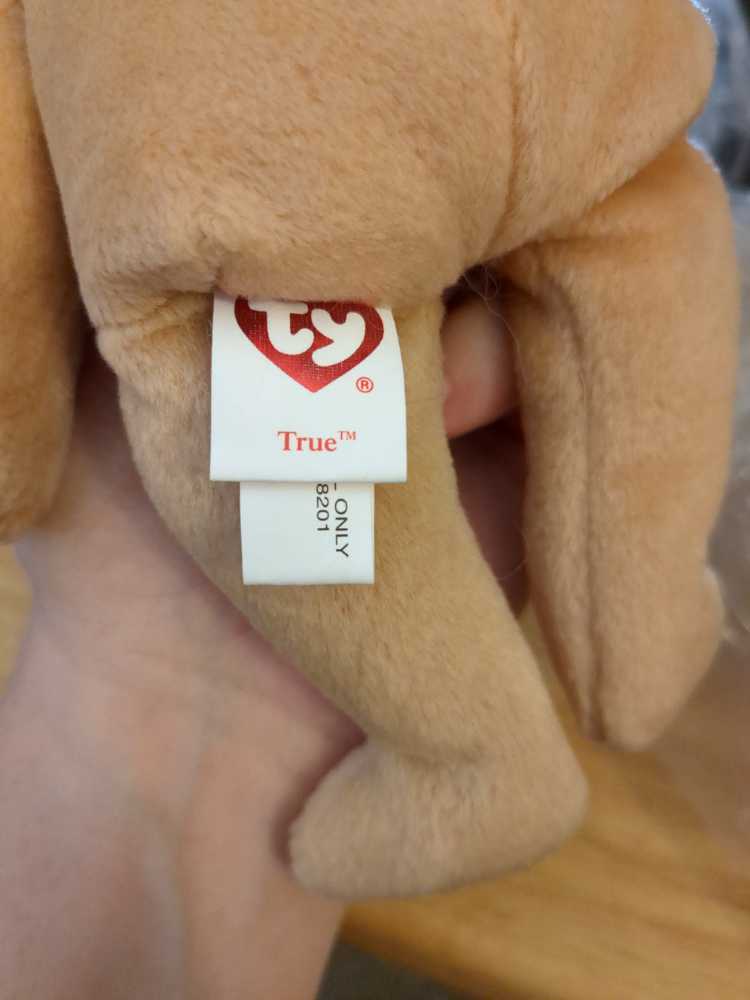 True The Bear  (Canada) plush collectible [Barcode 008421046362] - Main Image 2