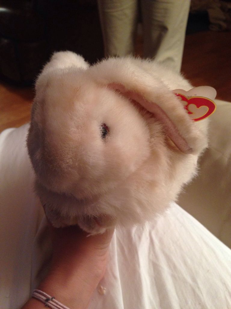 Luke The Dog (Buddy)