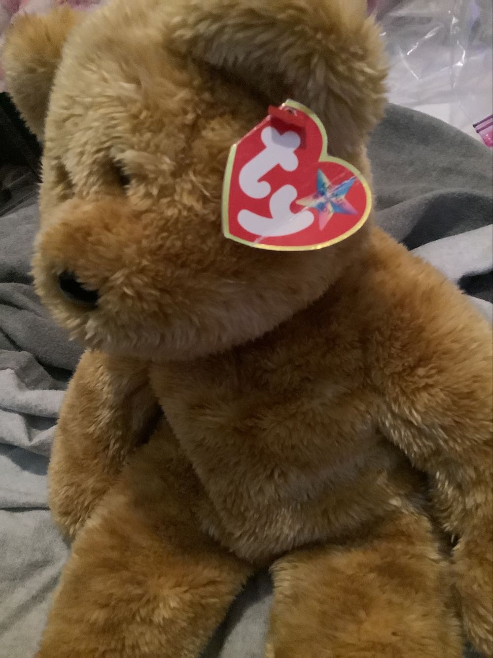 Cashew The Bear 🐻 (Buddy). L  (United States) plush collectible [Barcode 008421094370] - Main Image 2