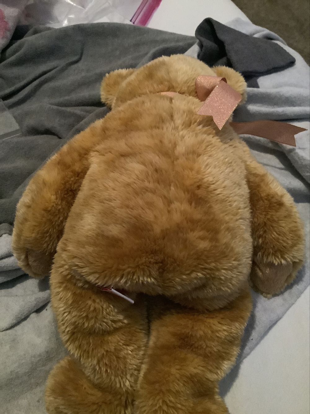 Cashew The Bear 🐻 (Buddy). L  (United States) plush collectible [Barcode 008421094370] - Main Image 3