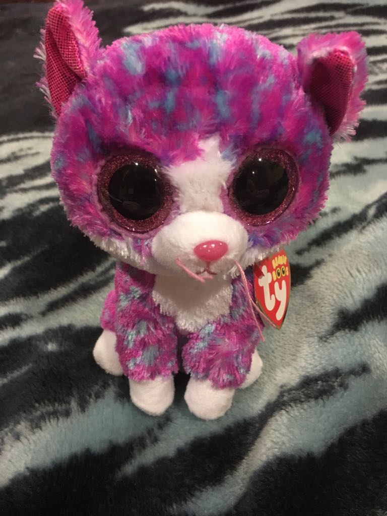 Chocky The Guinea Pig