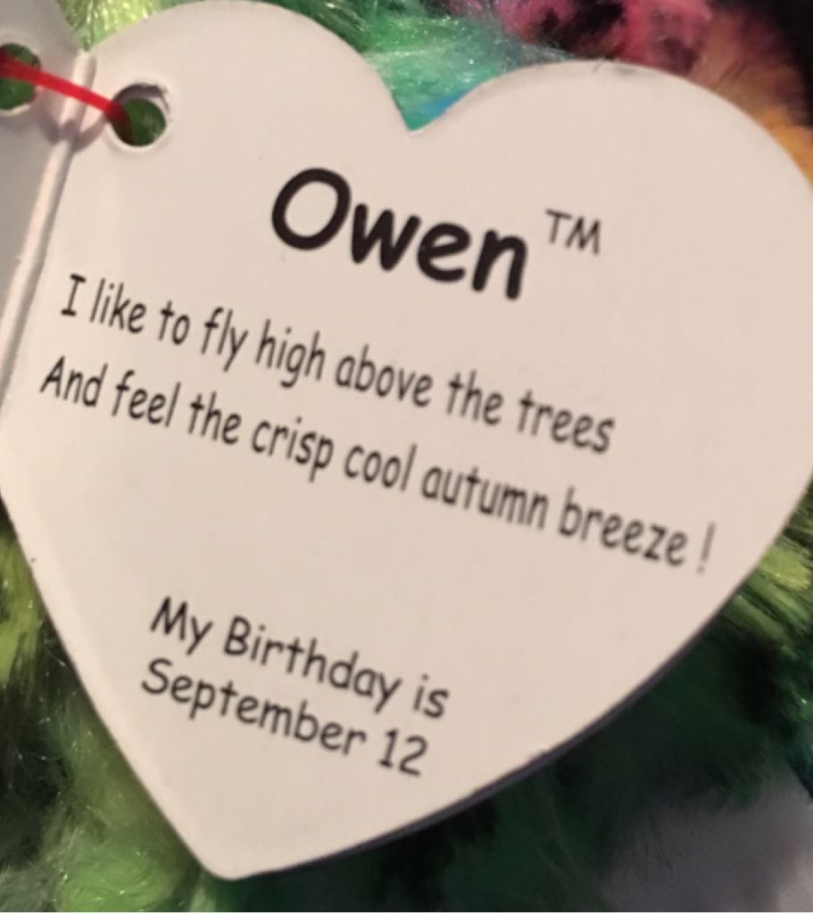 Owen the Owl  (United States) plush collectible [Barcode 008421372218] - Main Image 2