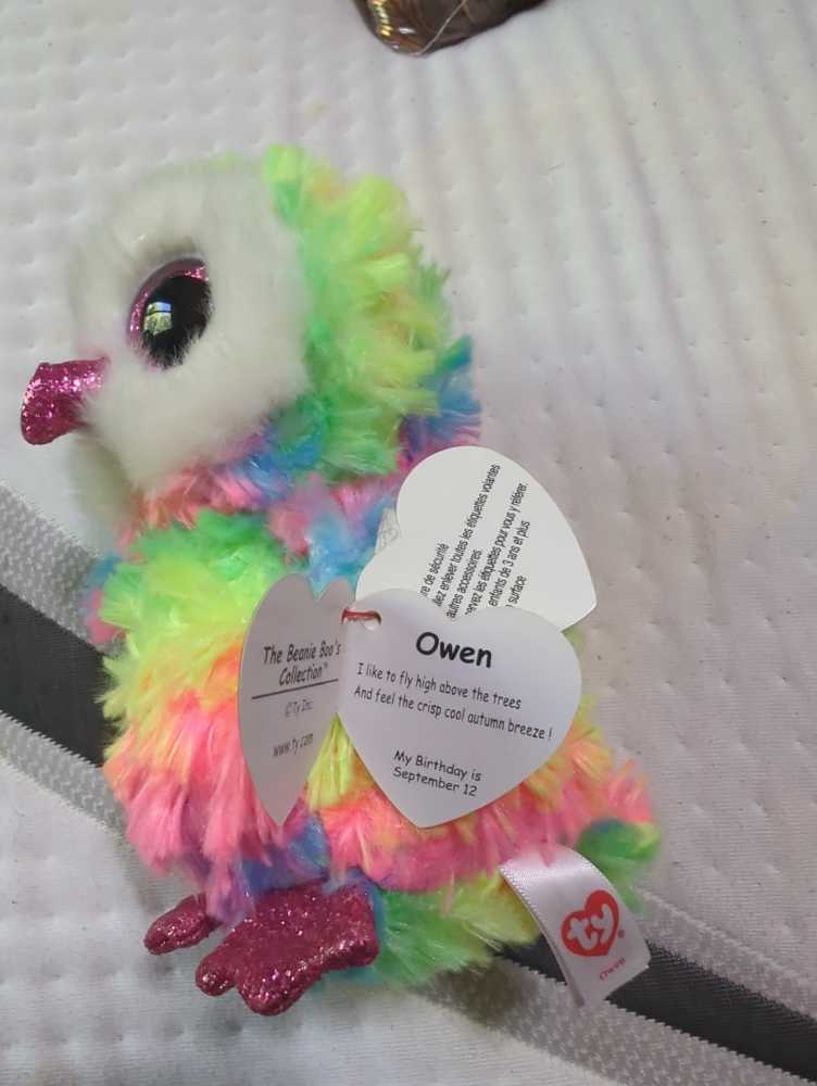 Owen the Owl  (United States) plush collectible [Barcode 008421372218] - Main Image 3