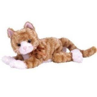 Rocket The Blue Jay Bird