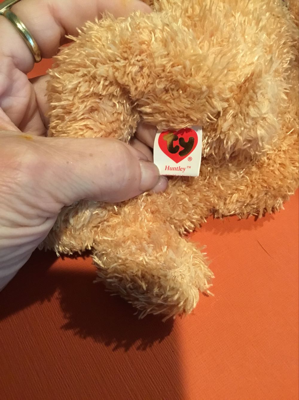 Huntley The Bear  plush collectible [Barcode 008421401079] - Main Image 4