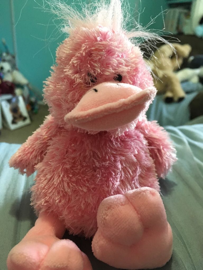 Mardi The Party Bear 1