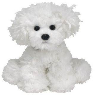 Brutus the Rottweiler