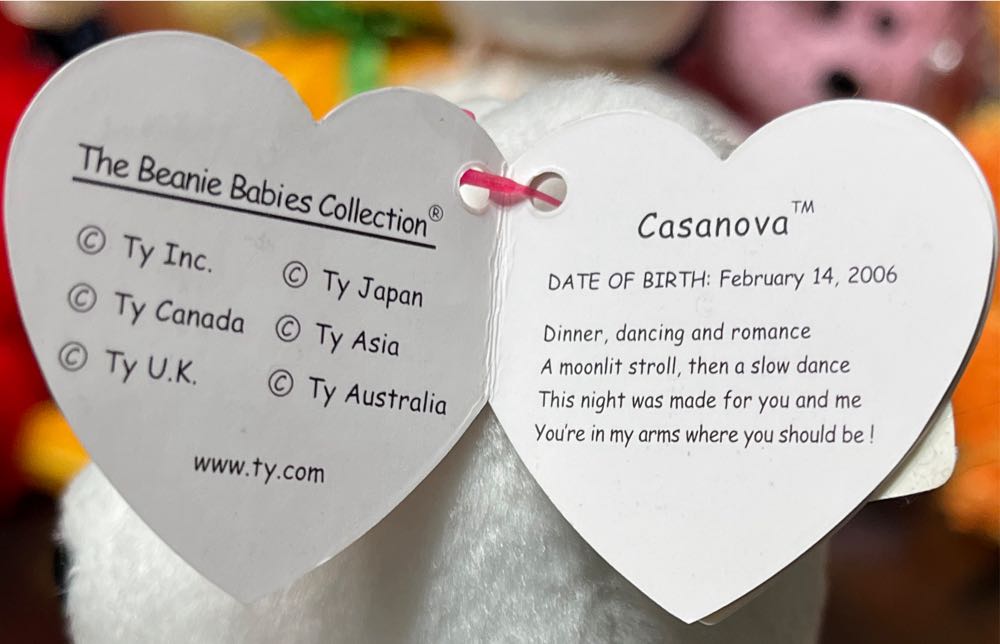 Casanova The Bear - Valentines  plush collectible [Barcode 008421404766] - Main Image 4
