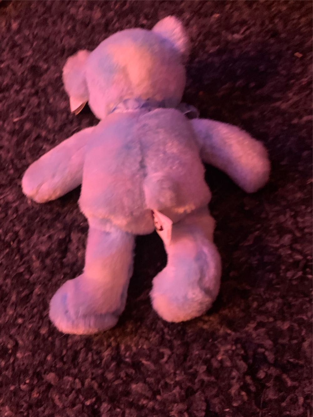 Laguna The Bear  (United States) plush collectible [Barcode 008421406463] - Main Image 2