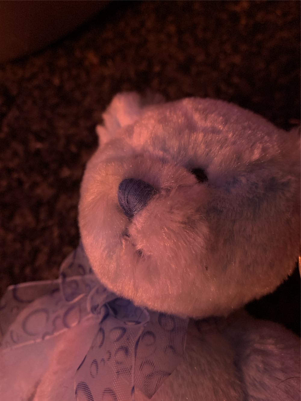 Laguna The Bear  (United States) plush collectible [Barcode 008421406463] - Main Image 4