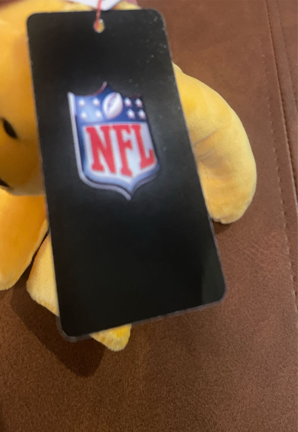 GREEN BAY PACKERS the Bear  (United States) plush collectible [Barcode 008421417216] - Main Image 4