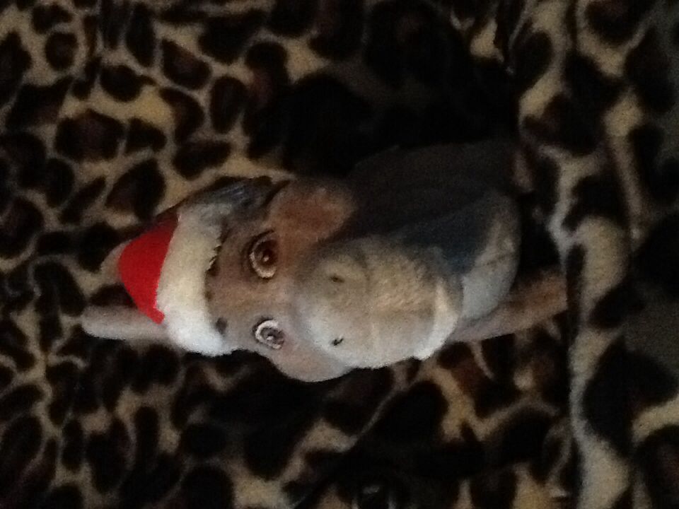 Donkey (Santa Hat)  (United States) plush collectible [Barcode 008421471065] - Main Image 2