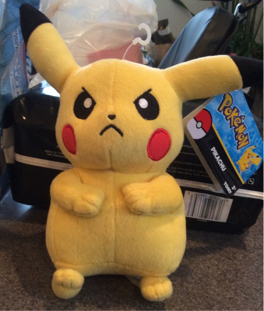 Swany The Western Australian Bear