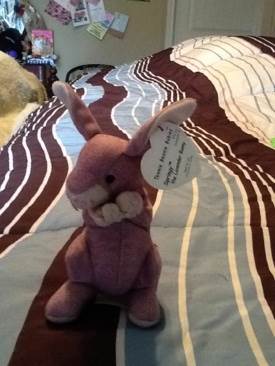 Spinner the Spider (Teenie)