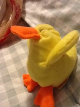 Goochy The Jellyfish