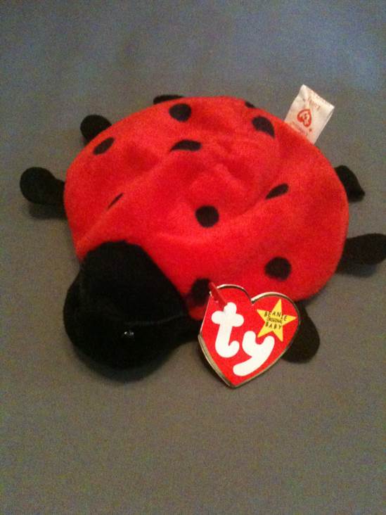 Clubby VI The Bear - Multicolored