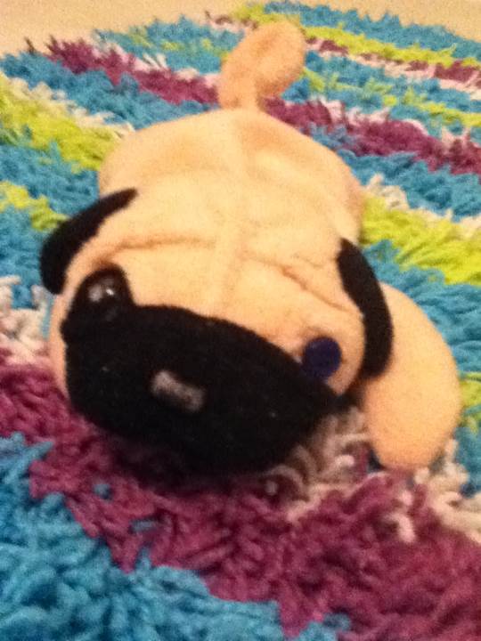 Pugsly the Pug (Dog)  plush collectible - Main Image 2