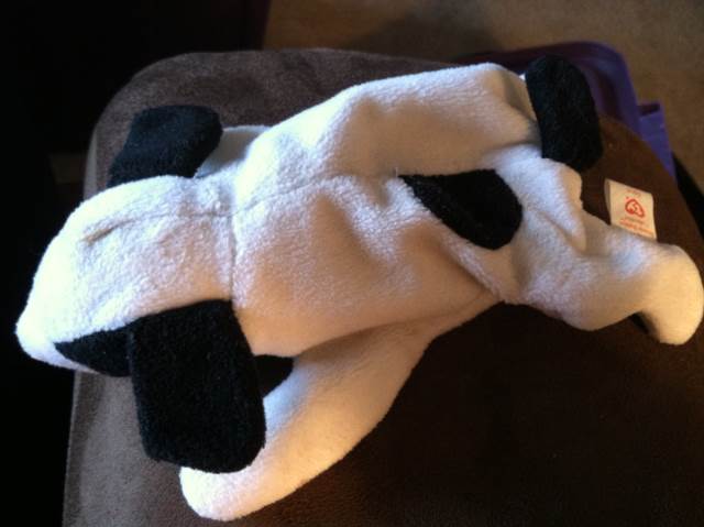 Eraserz Cubbie the Bear Green