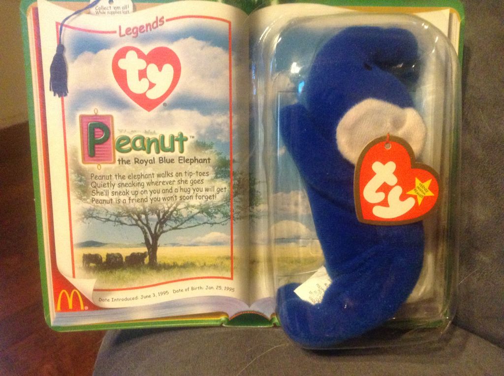 Rainbow Dash the pegasus