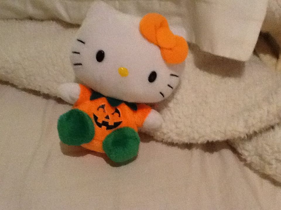 Curly the Bear Buddy   L 🐻