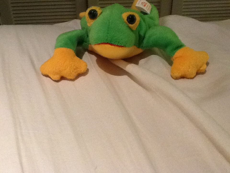 Smoochy  plush collectible - Main Image 1
