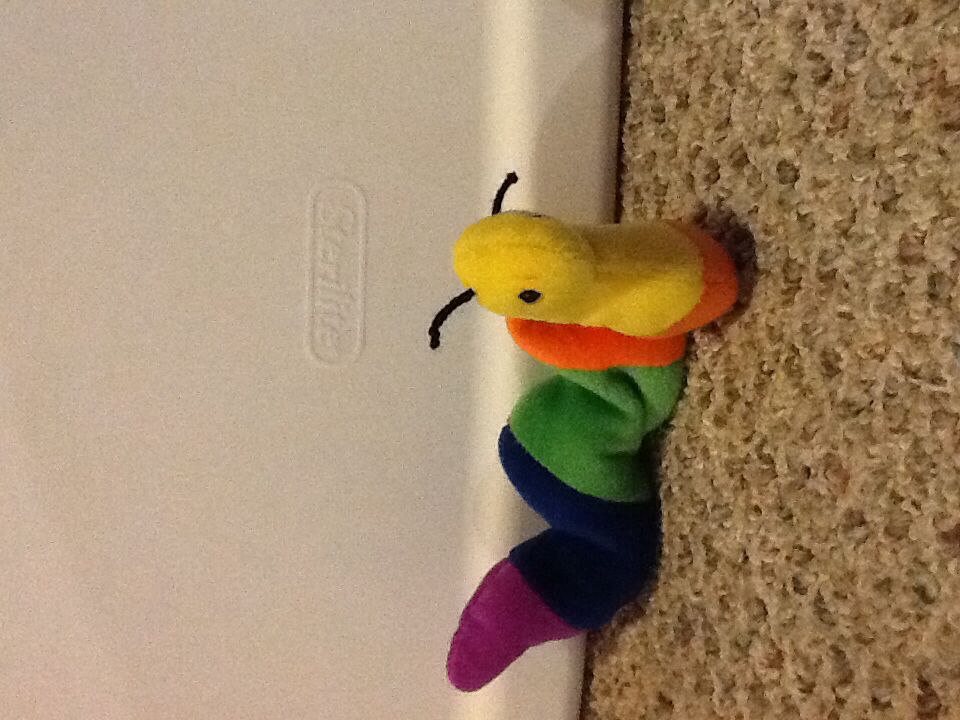 Elliott - Pete’s Dragon Medium Plush 14"