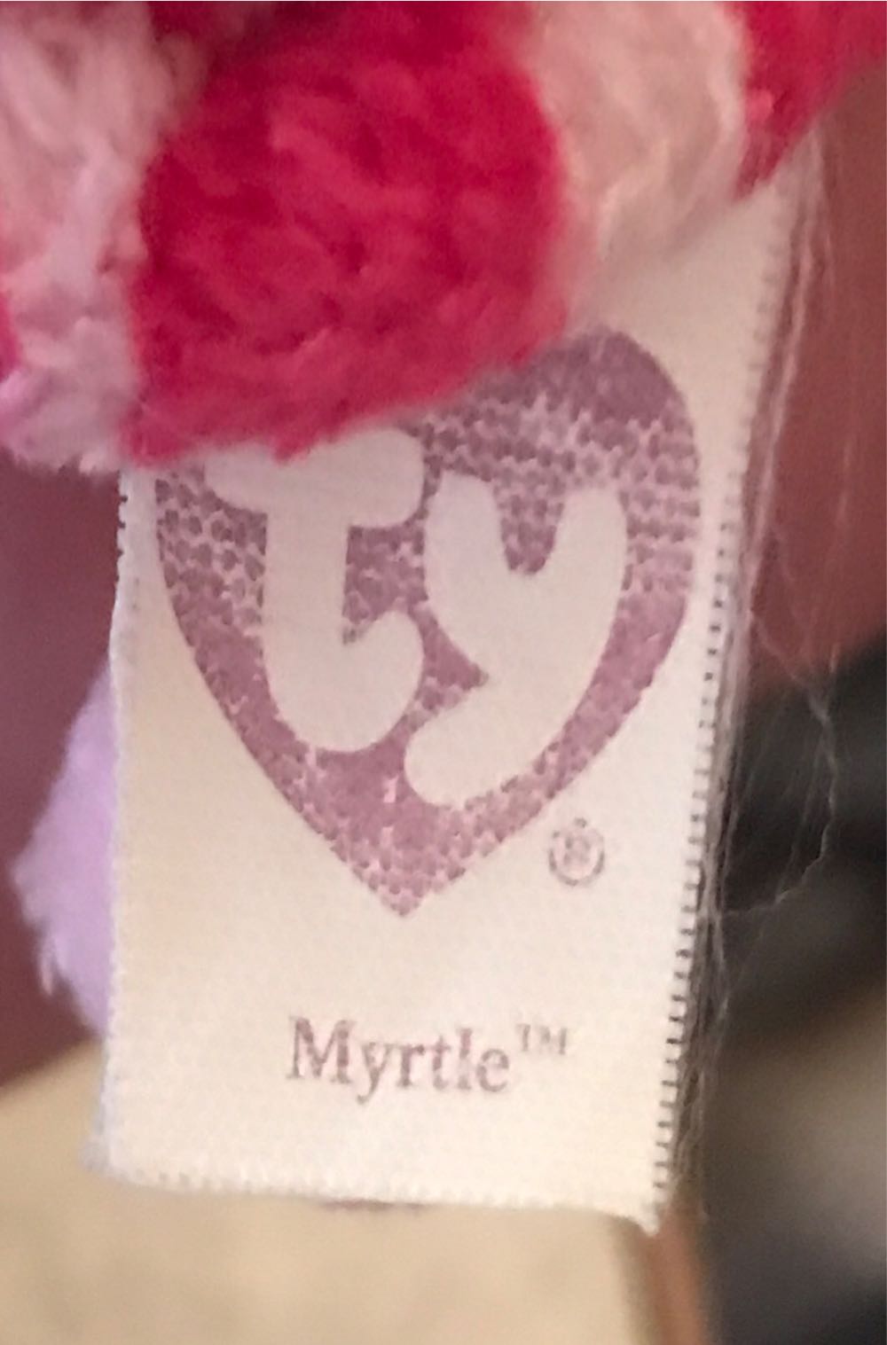 Myrtle the Turtle  plush collectible - Main Image 4