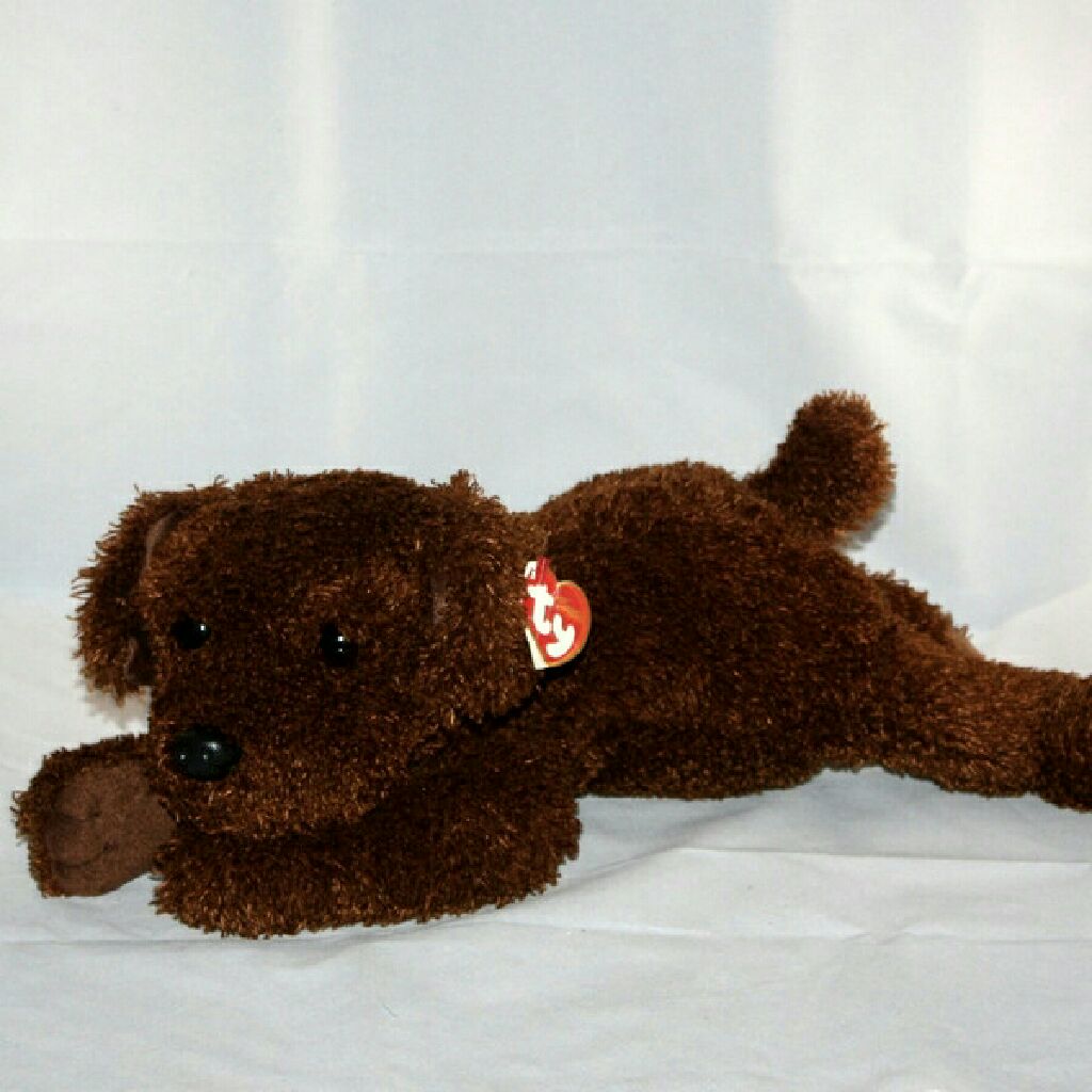 Issy The Bear Bangkok