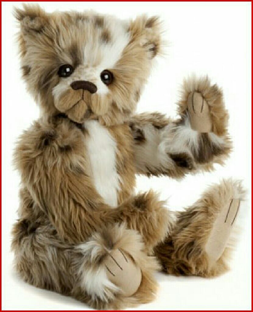 Clubby The 5th Anniversary Edition (Beanie Buddy)