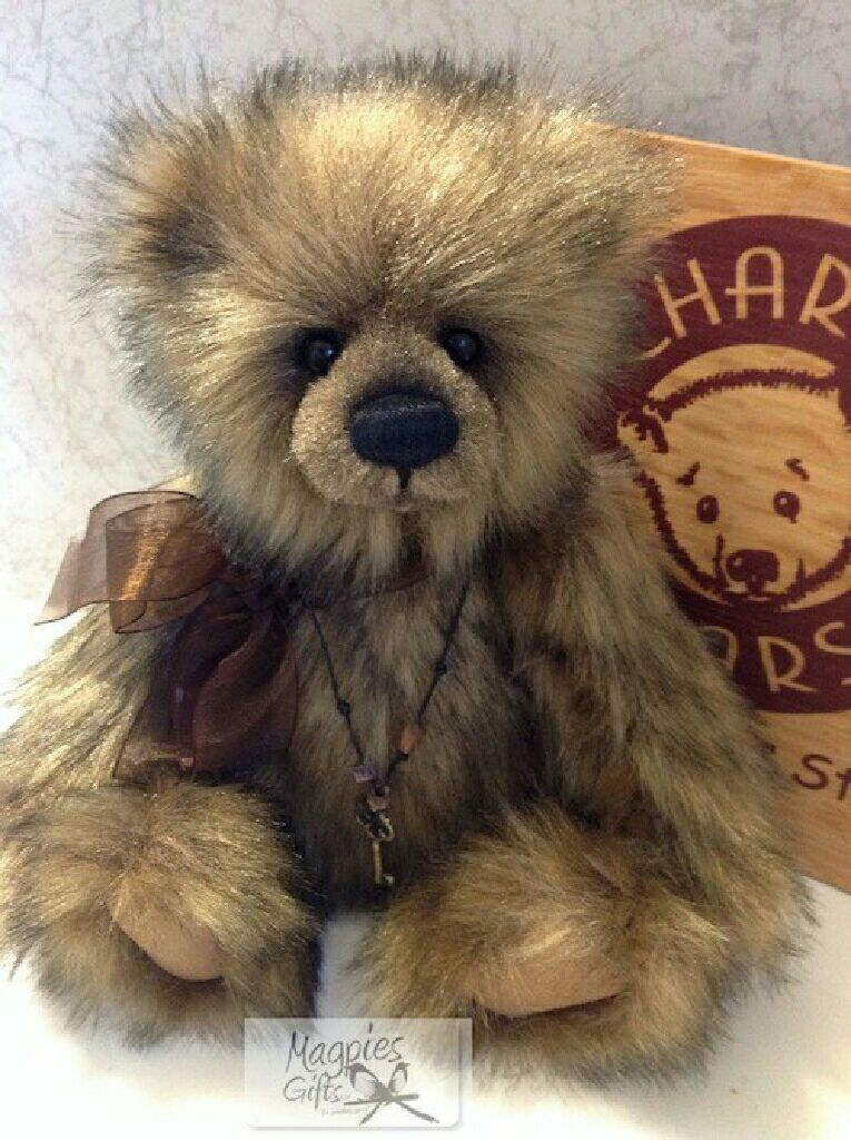 frolics The cocker spaniel dog