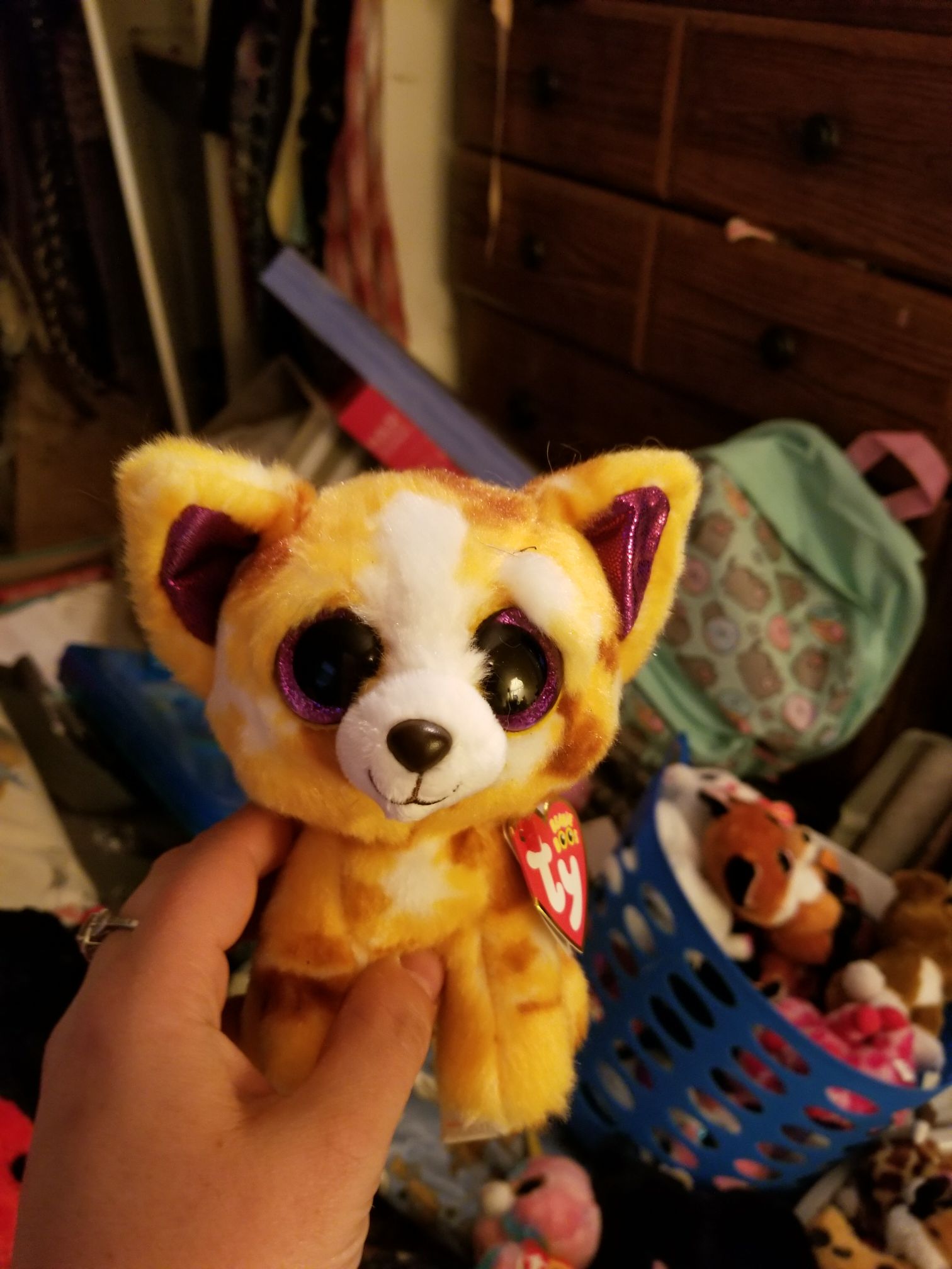 Pablo the Chihuahua  (China) plush collectible - Main Image 2