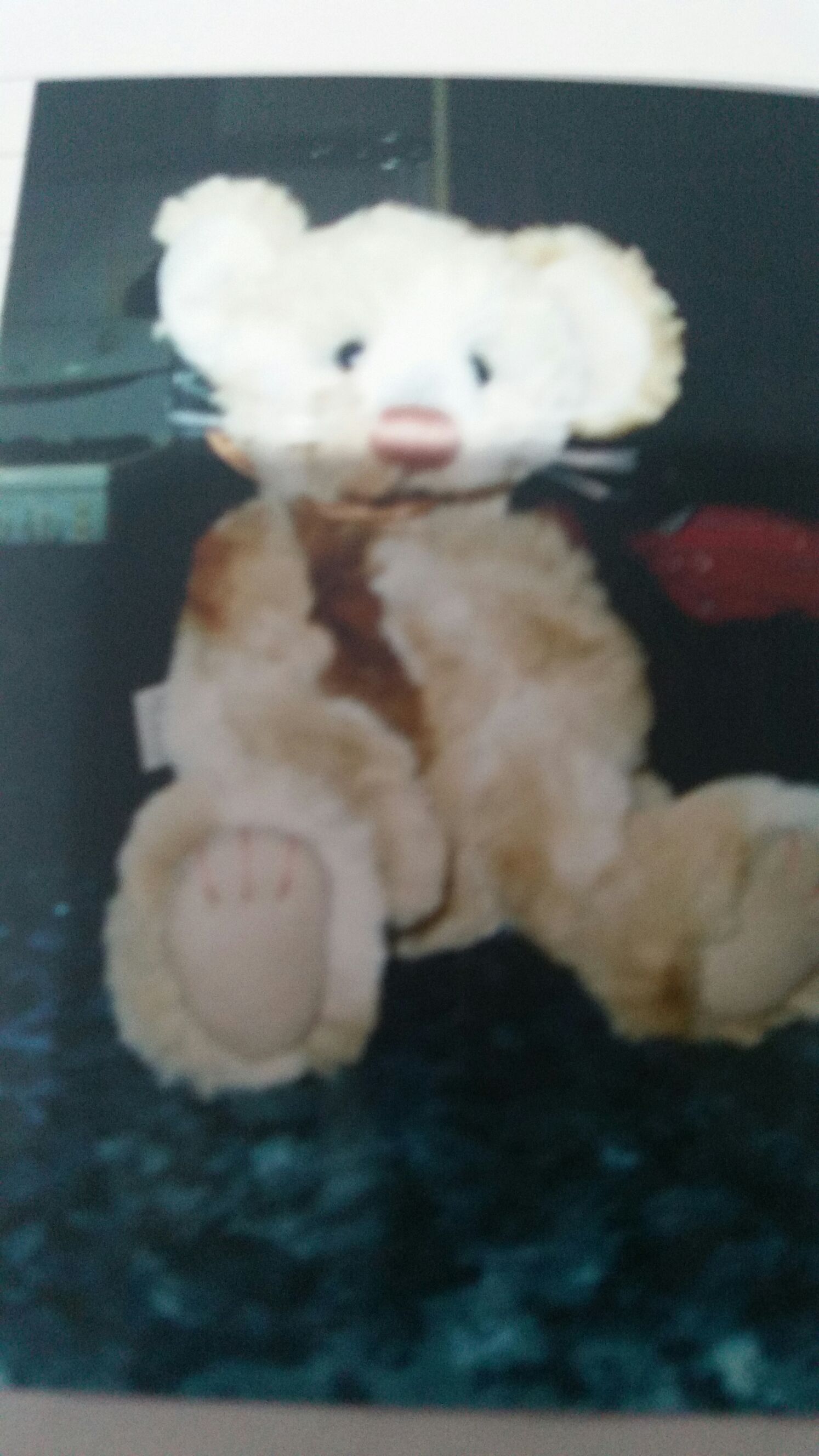 Champion The Fifa Bear (nigeria)