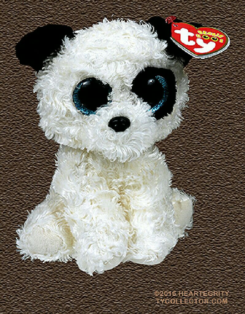 Iggy The Ty-dyed Iguana (Rainbow Tongue)